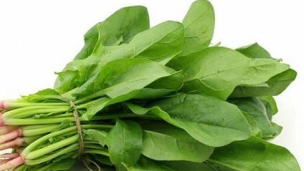 Health Benefits of Kasini Keerai and Do you know Kasini Keerai is the Fantastic Diet Food