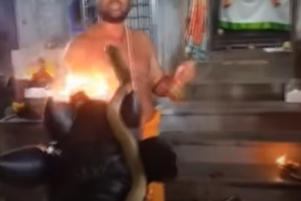 Snake Visit to Aambur Shiva temple Nandi Priest showed Deeparathana 
