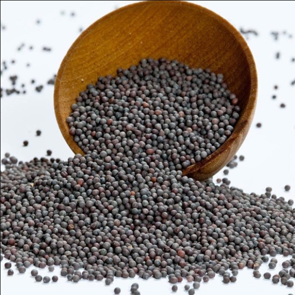 Health Benefits of Mustard Seeds and Do you know how Mustard Seeds helps prevent cancer