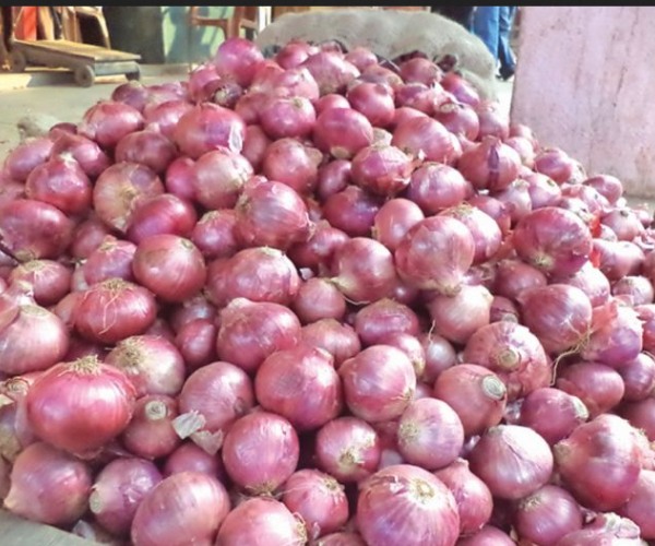 Central Government Major announcement about 3 lakh don onion release and House wives are happy