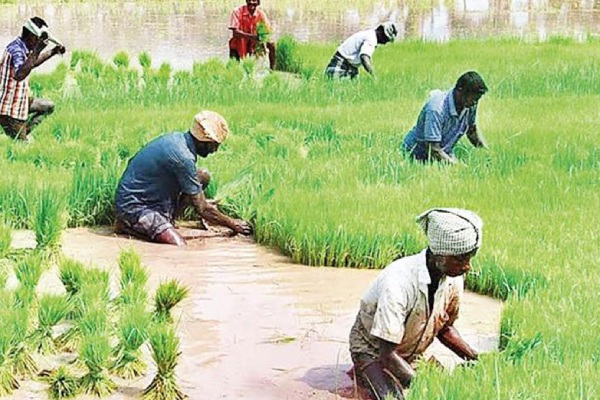 AI problem aside, marriage can only be done by getting a salary of one lakh 