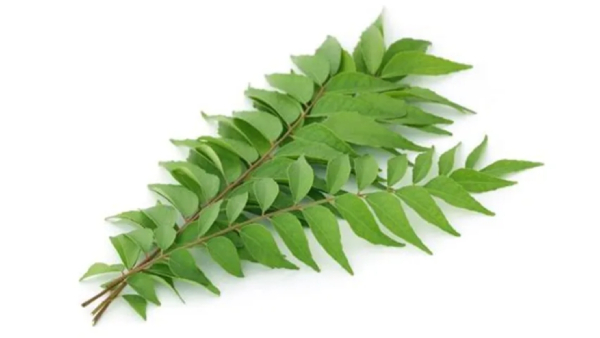 Health benefits of Curry Leaves and and Do you know Amazing Health Uses of Curry Leaf Health benefits of Curry Leaves and and Do you know Amazing Health Uses of Curry Leaf