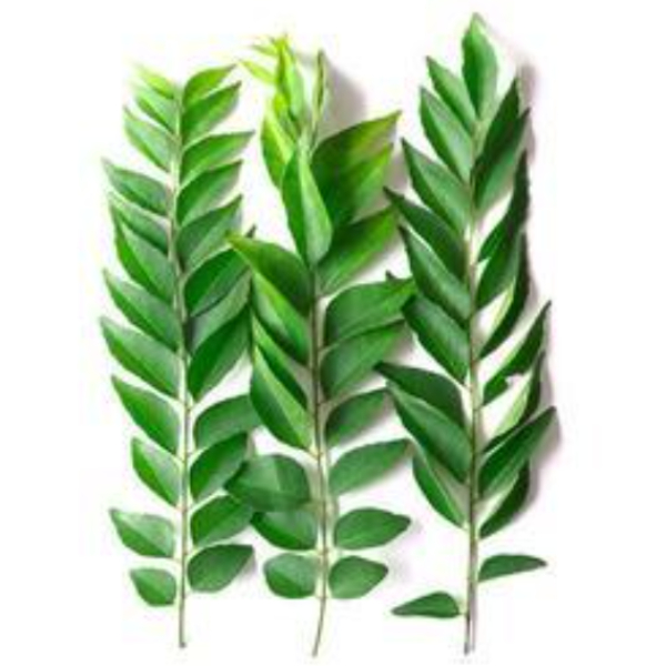 Health benefits of Curry Leaves and and Do you know Amazing Health Uses of Curry Leaf Health benefits of Curry Leaves and and Do you know Amazing Health Uses of Curry Leaf