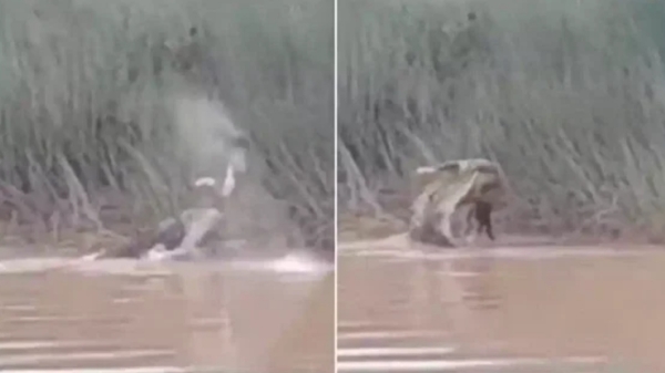 Heartbreaking Video and what happened to the Women near Odisa River Heartbreaking Video and what happened to the Women near Odisa River