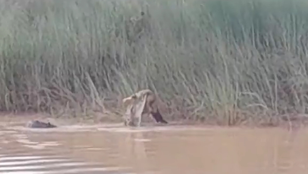 Heartbreaking Video and what happened to the Women near Odisa River Heartbreaking Video and what happened to the Women near Odisa River