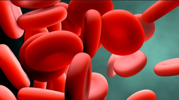 Health Benefits in the Sprout and Do you know Chickpeas is the Best food for all 