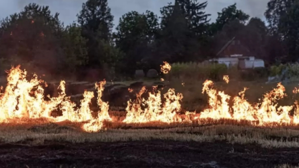  How did the Hawaii Wildfire start and why are they still burning