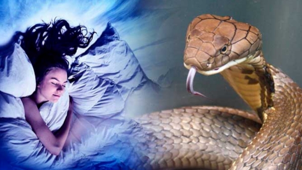 Pambu Kanavugalum Palangalum: Pambai kondral enna palan spirituality news 