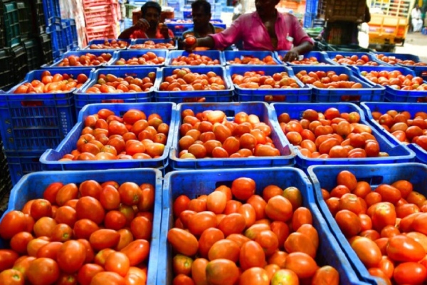 India impose 40 per cent duty on onion exports till December 31 this year, says Finance Ministry 