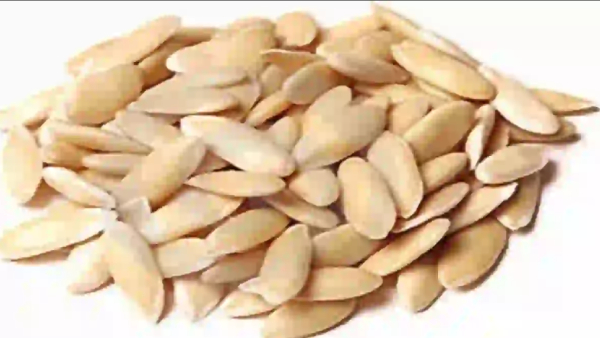 Do you know Health Benefits of Drumstick, Sabja Seeds, Cucumber Seeds and Best Seeds for Weight Loss