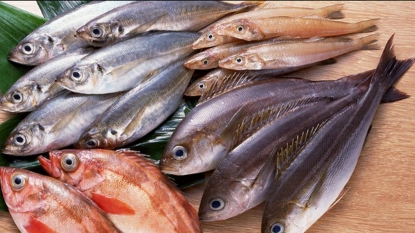Do you Know what are the Health Benefits of Fish and Which Fish to eat will reduce Body Weight