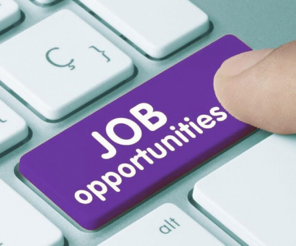 Those who are interested to work in women help center in chennai apply soon 