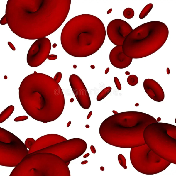 Health Excellent Benefits of Pomegranate and Do you know about Pomegranate Seeds is the Best Diet food