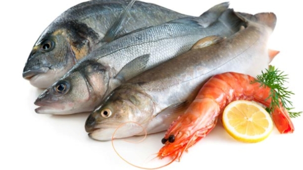 Do you know about Healthy Fish and What are 5 Major things to look for when buying Fish