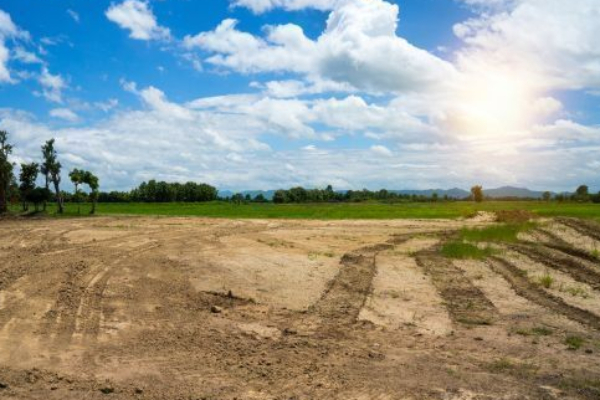 lets see about the lands and houses that should not be bought in Tamil Nadu 