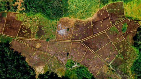 lets see about the lands and houses that should not be bought in Tamil Nadu 