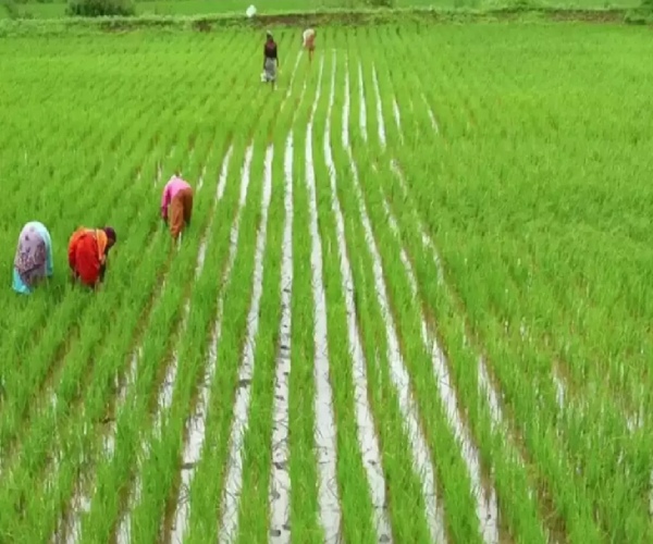 Tamil Nadu CM MK Stalins inspection today with 4 district collectors including Nagai Collector