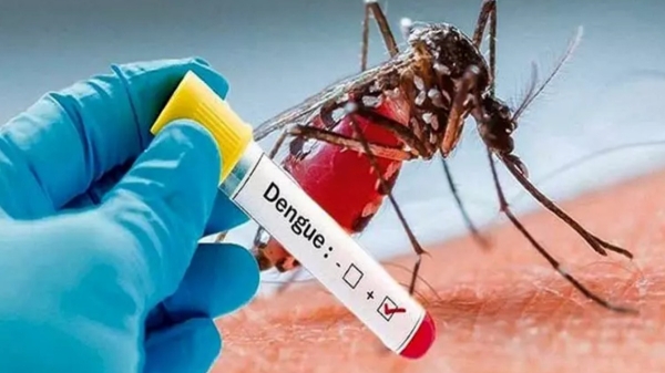 Tamil Nadu Health Department says, drugs for Dengue fevers including Chikungunya in stock 