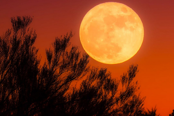  Why Japan Postpones Moon Mission Launch For 3rd Time