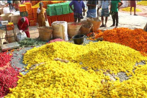 Coimbatore Traffic and Onam festival celebrations have started in Kerala, Palakkad
