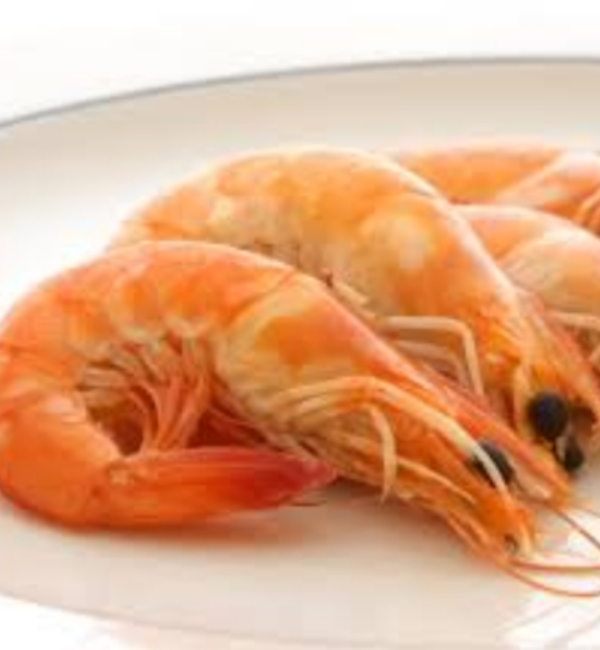 Do you know about Excellent Prawn and What are the Health Uses of Prawn Fish Do you know about Excellent Prawn and What are the Health Uses of Prawn Fish