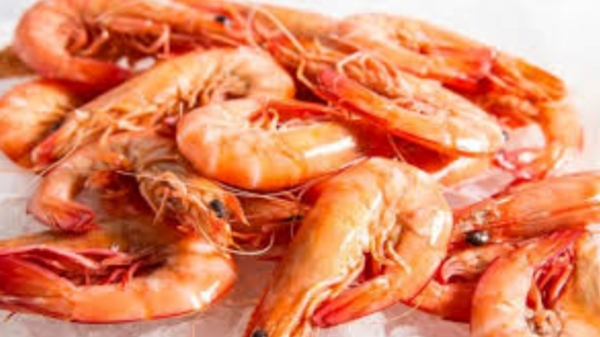 Do you know about Excellent Prawn and What are the Health Uses of Prawn Fish Do you know about Excellent Prawn and What are the Health Uses of Prawn Fish