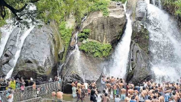 kutralam season 2023 : After a gap of one month, the water flow has increased in Kutralam waterfalls kutralam season 2023 : After a gap of one month, the water flow has increased in Kutralam waterfalls