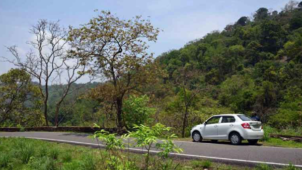 Forest Department has banned entry to Valparai in Coimbatore from 6 pm to 7 am 