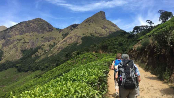 trucking in kolukkumalai on the Tamil Nadu-Kerala border likely ban by high court 