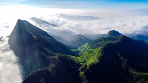 trucking in kolukkumalai on the Tamil Nadu-Kerala border likely ban by high court 