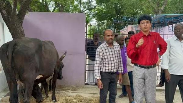 Doctor explains health condition of 9 years girl attacked by cow in chennai 