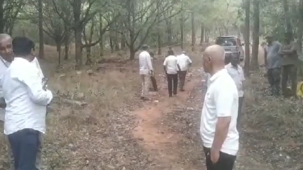 A leopard that killed a girl on Tirupati Hill was caught in a cage A leopard that killed a girl on Tirupati Hill was caught in a cage