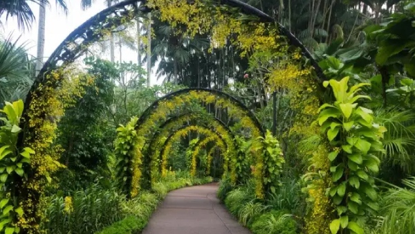 Chennai to have a Singapore-style Botanical Garden in the heart of the city Chennai to have a Singapore-style Botanical Garden in the heart of the city
