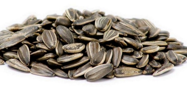 Health Benefits of Sunflower Seeds Black and Sunflower seeds are Excellent Health Medicine for women