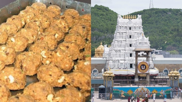 Happy Birthday To Sri Vari Laddu: 308th year birthday celebration of Tirupati Laddu History 