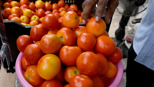 Do you know Tomato price in Dindigul Gandhi Market? 