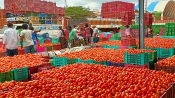 Tomatoe price has no changes at Koyambed Market in Chennai and other vegetables price list released 