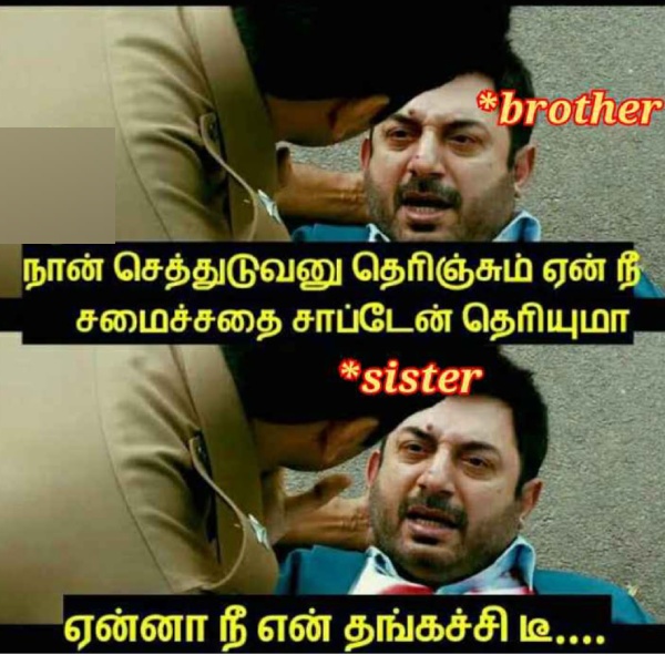 These are some jolly memes collection on brother-sisters love.