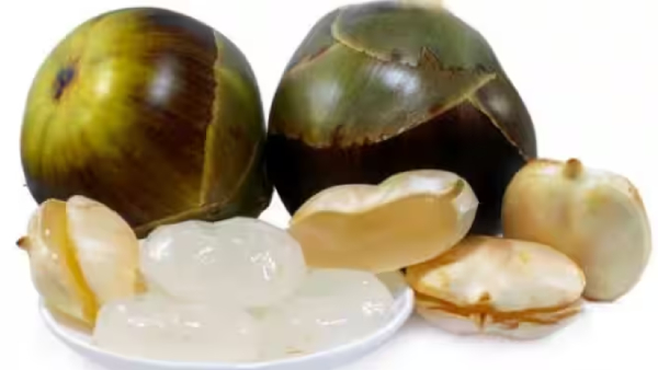 Do you know Benefits of Nungu and Palm Fruit is the Excellent Food for Weight Loss 