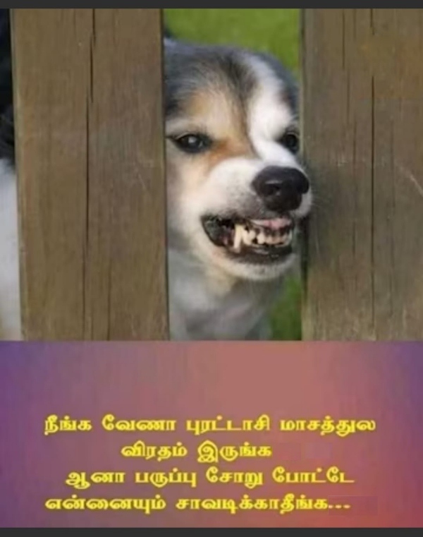  Purattasi saturday memes: Funny memes collection on purattasi month