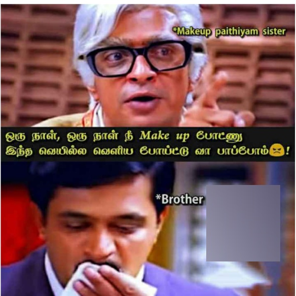 These are some jolly memes collection on brother-sisters love.