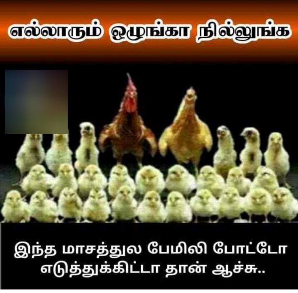 Purattasi memes: Funny memes collection on purattasi month 20-09-2023