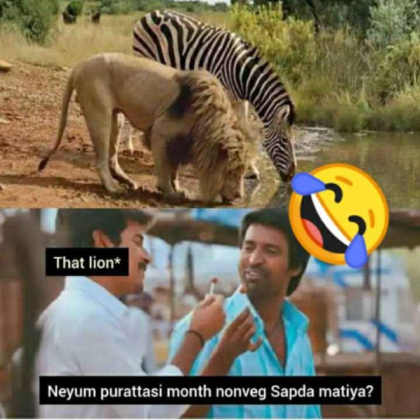 Purattasi memes: Funny memes collection on purattasi month