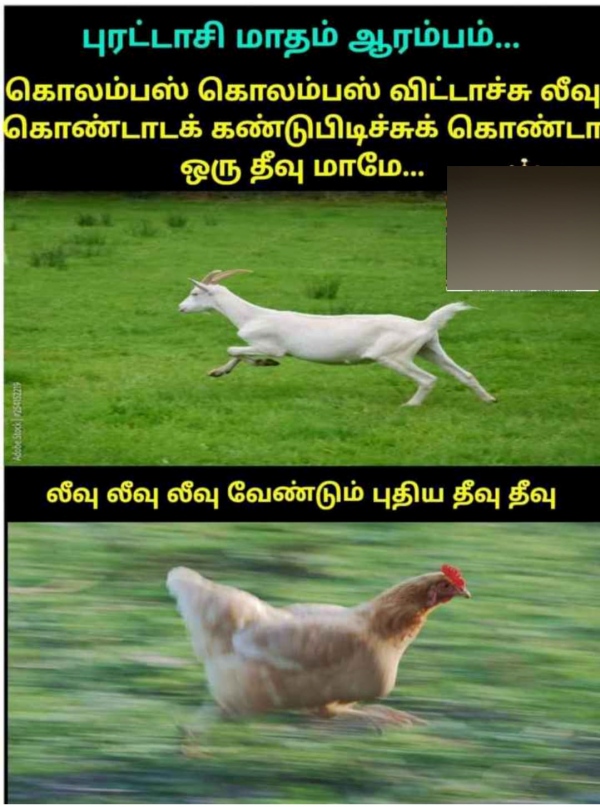 Purattasi memes: Funny memes collection on purattasi month 20-09-2023