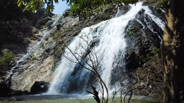 Kalvarayan Hill: A mother dies after saving her son who was drowning in a waterfall Kalvarayan Hill: A mother dies after saving her son who was drowning in a waterfall