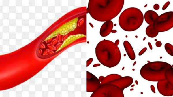 Do you know Health Benefits of Ragi and what are the Best foods to eat to gain Weight easily 