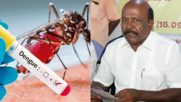Dengue fever: People should not panic as necessary measures have been taken, Minister Ma Subramanian 