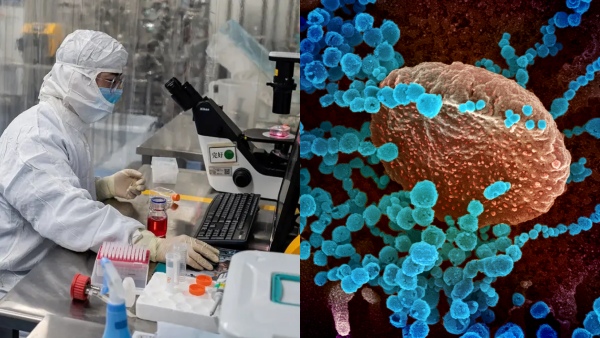  What will be the Next pandemic disease X that could kill 5 crore people