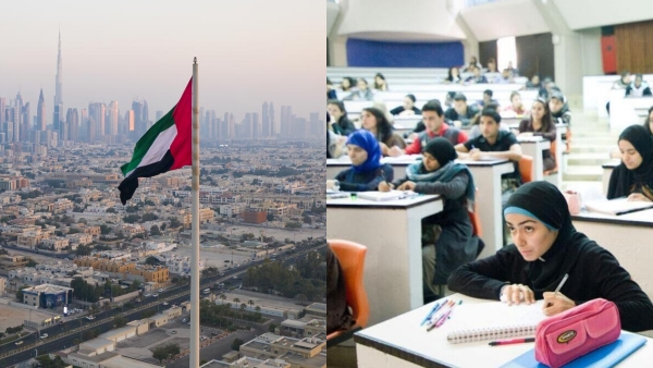 UAE good news for school students Training to get a job while studying UAE good news for school students Training to get a job while studying