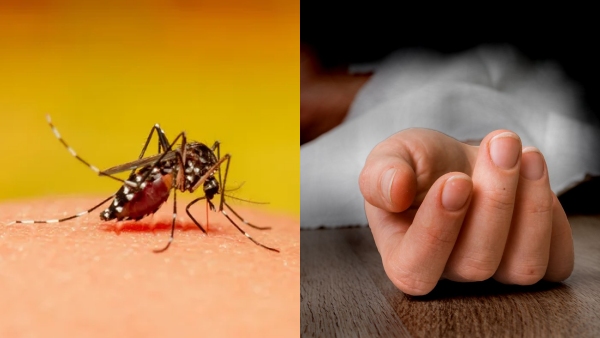 4 year old girl died dengue in Dharmapuri government hospital